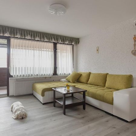 Family Apartment Nakiteya リュブリャナ エクステリア 写真