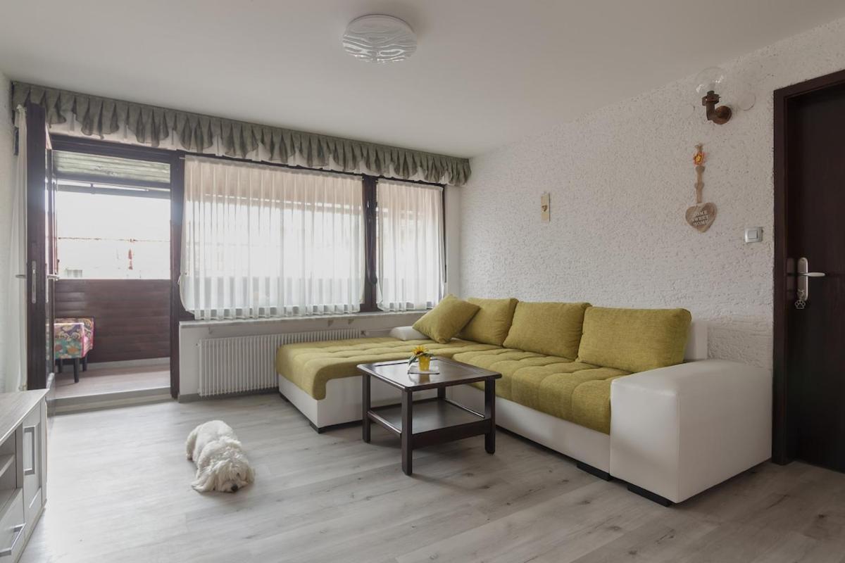 Family Apartment Nakiteya リュブリャナ エクステリア 写真