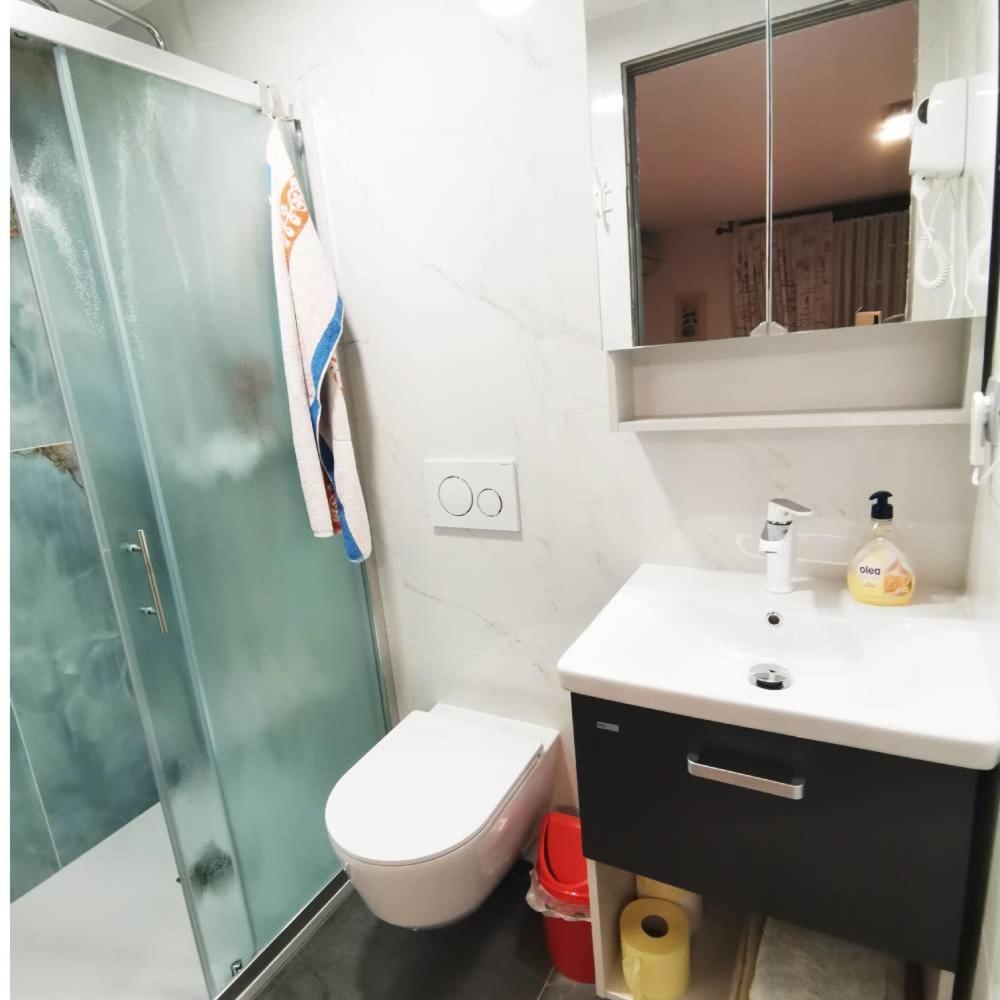 Family Apartment Nakiteya リュブリャナ エクステリア 写真
