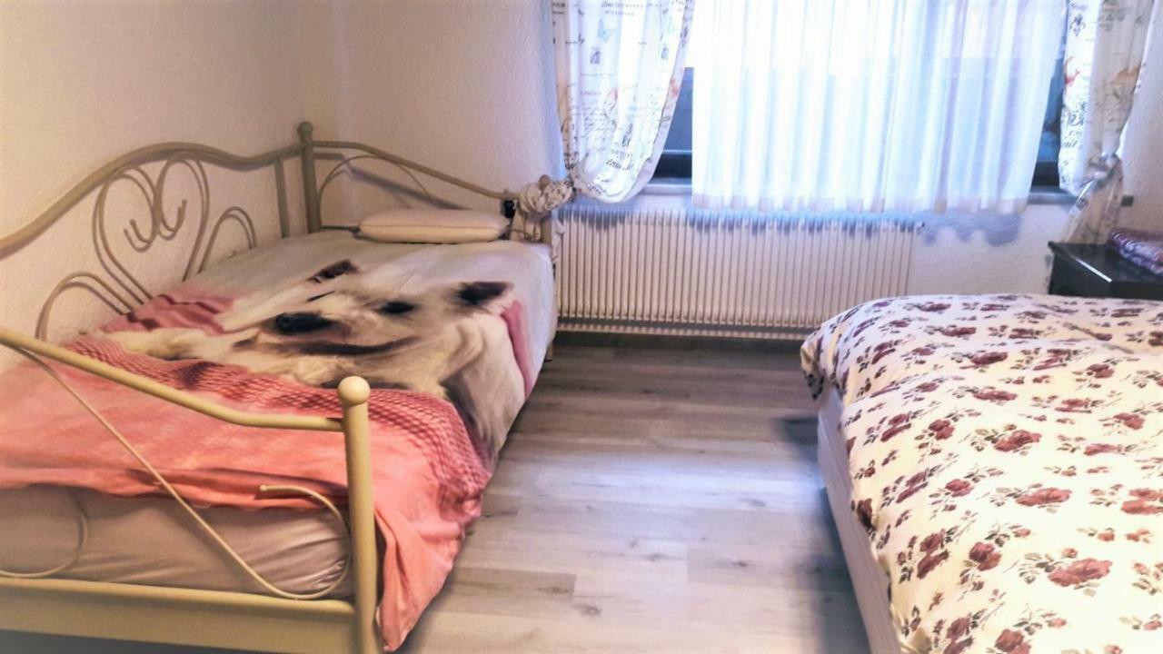 Family Apartment Nakiteya リュブリャナ エクステリア 写真